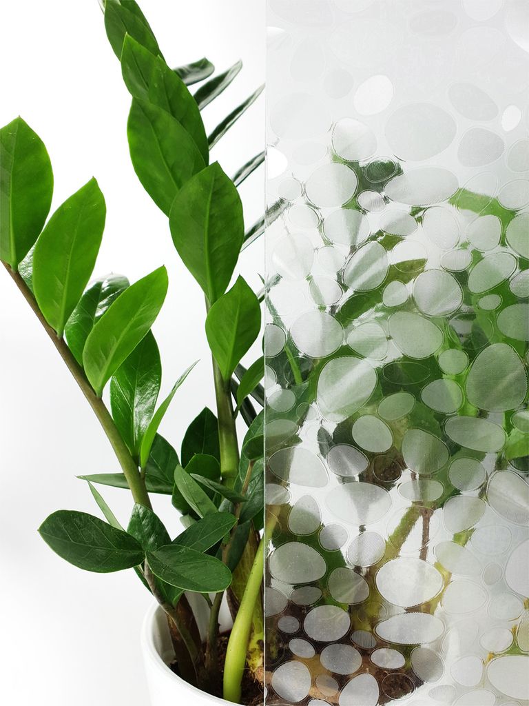 Selbsthaftend Fensterfolie 90x50 cm - Diana - Sichtschutzfolie Fenster Milchglasfolie statisch haftend | Folie Fenster für Bad und Büro - Sichtsc...