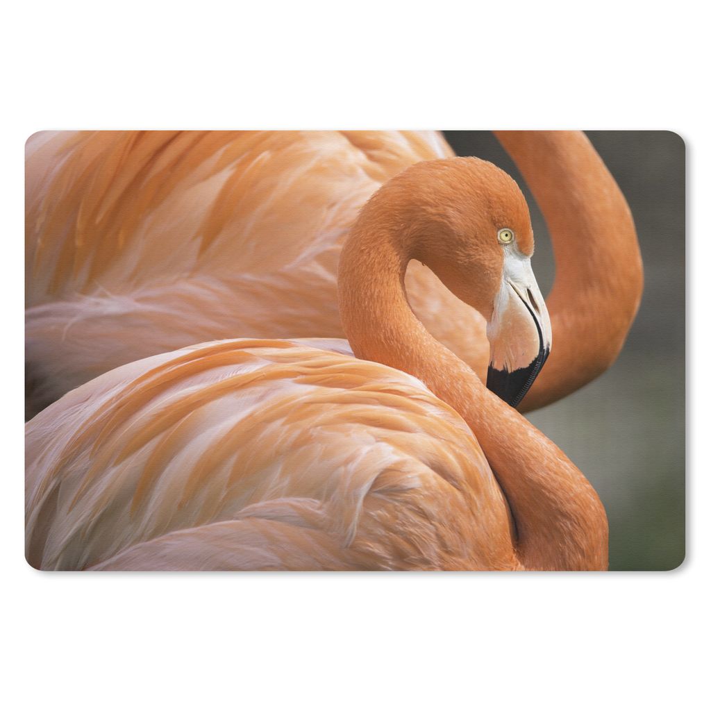 MuchoWow Mauspad Mousepad Zwei Flamingos stehen nebeneinander 27x18 cm - Mousepads - Maus Mat - Pad - Mausunterlage - Büroartikel - Desk Matten
