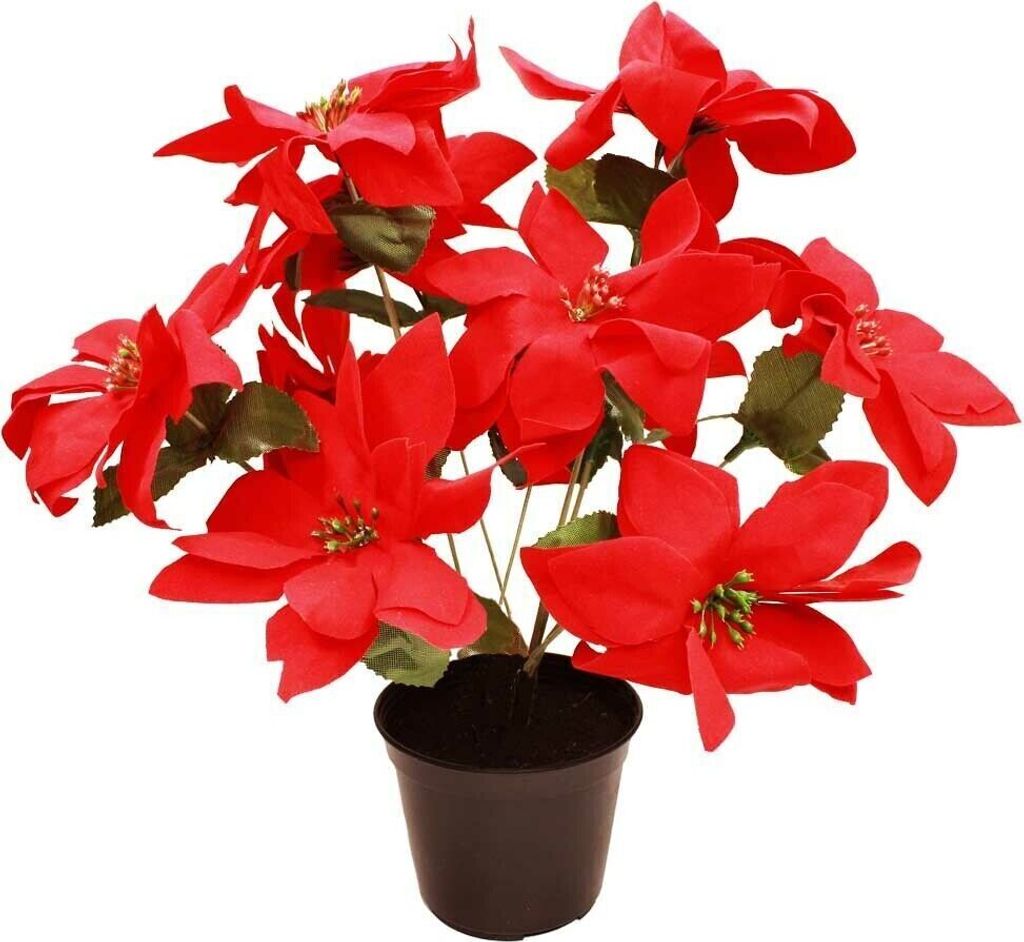 HAAC künstliche Weihnachtsstern im Topf mit 10 Blumen rot Größe 30 cm Weihnacht