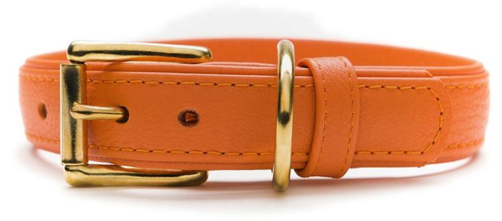 Das Lederband Hundehalsband Como orange/orange, Länge: 55 cm / Breite: 30 mm