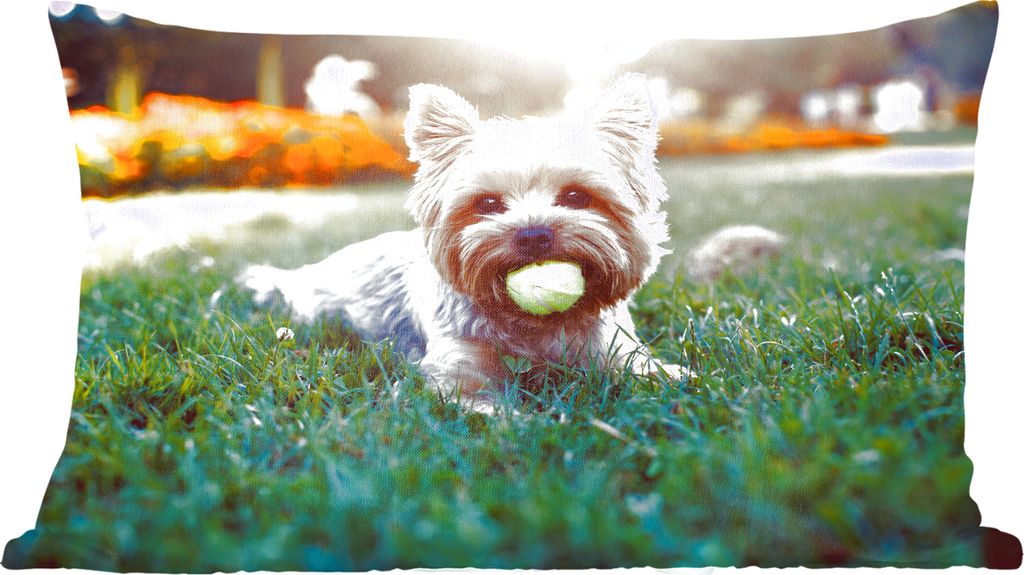 MuchoWow Zierkissen Sofakissen Wohnzimmer Dekokissen 50x30 cm Yorkshire Terrier liegt im Gras mit einem Tennisball im Maul - Wohnzimmerdekoration...