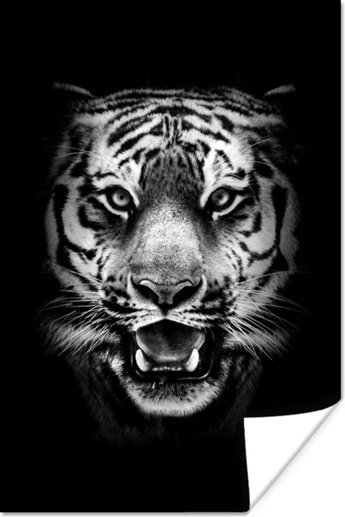 MuchoWow Poster Tigerkopf vor schwarzem Hintergrund - schwarz und weiß 120x180 cm - Kunstposter