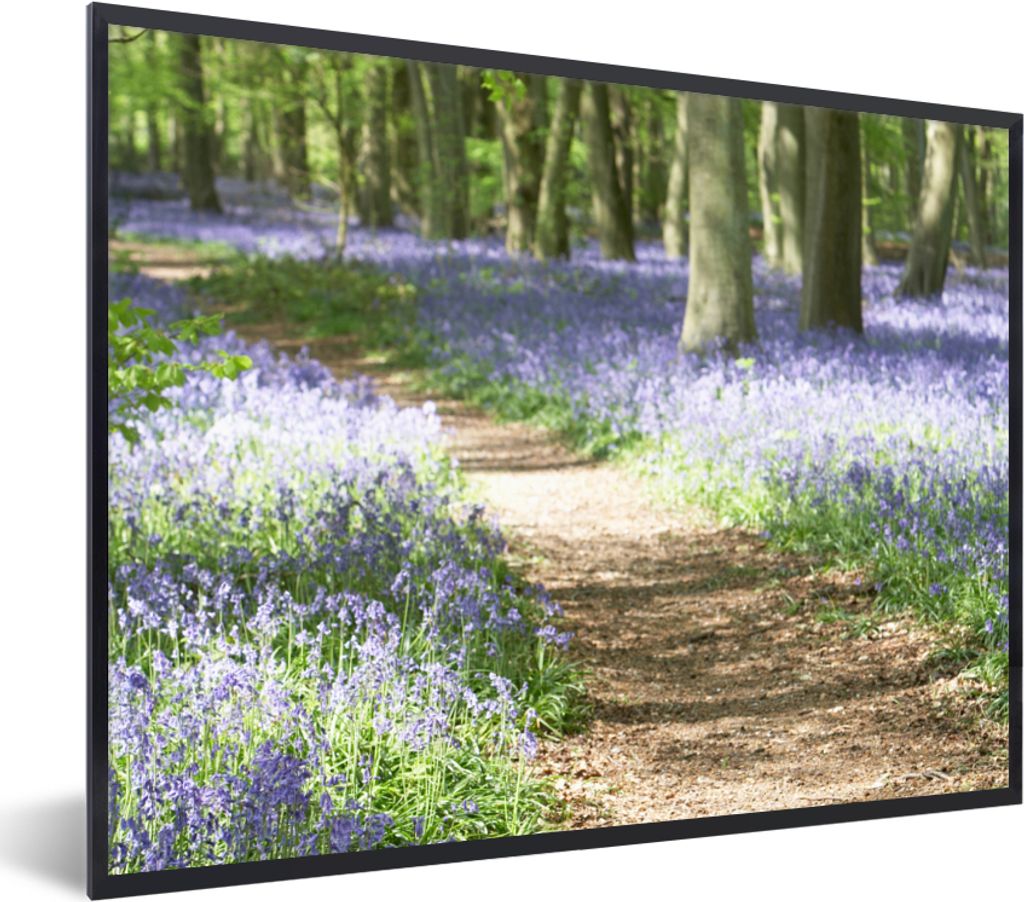 MuchoWow Gerahmtes Poster Wald - Weg - Blumen - Lila - Grün - Natur 80x60 cm - Poster mit Schwarzem Bilderrahmen Wandposter Rahmen Foto Bilder -...