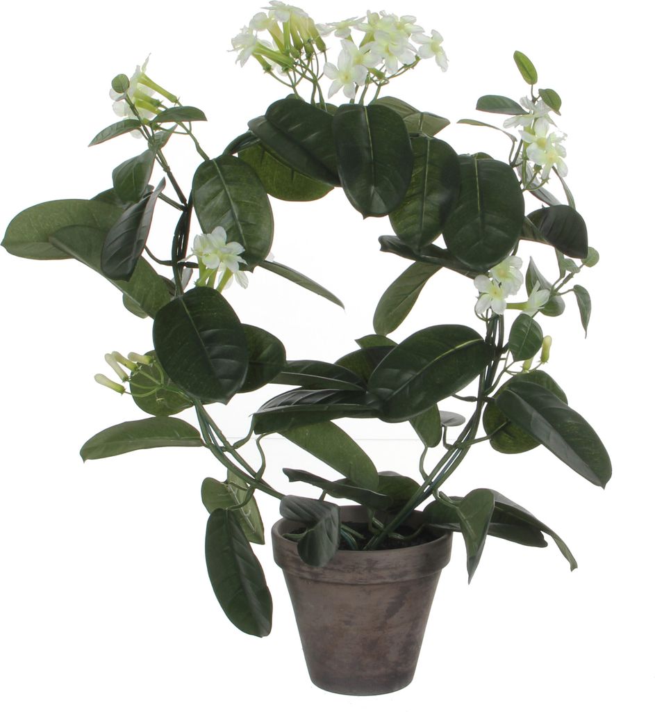 Mica Decorations Stephanotis Kunstpflanze im Blumentopf Stan - H50 x Ø40 cm - Weiß