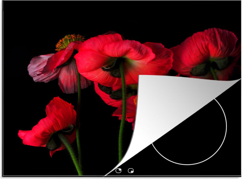 KitchenYeah Herdabdeckplatte Die isländischen Mohnblumen auf schwarzem Hintergrund , 71x52cm, Küche Deko, Glaskeramikkochfeld Herdabdeckung, Ab...