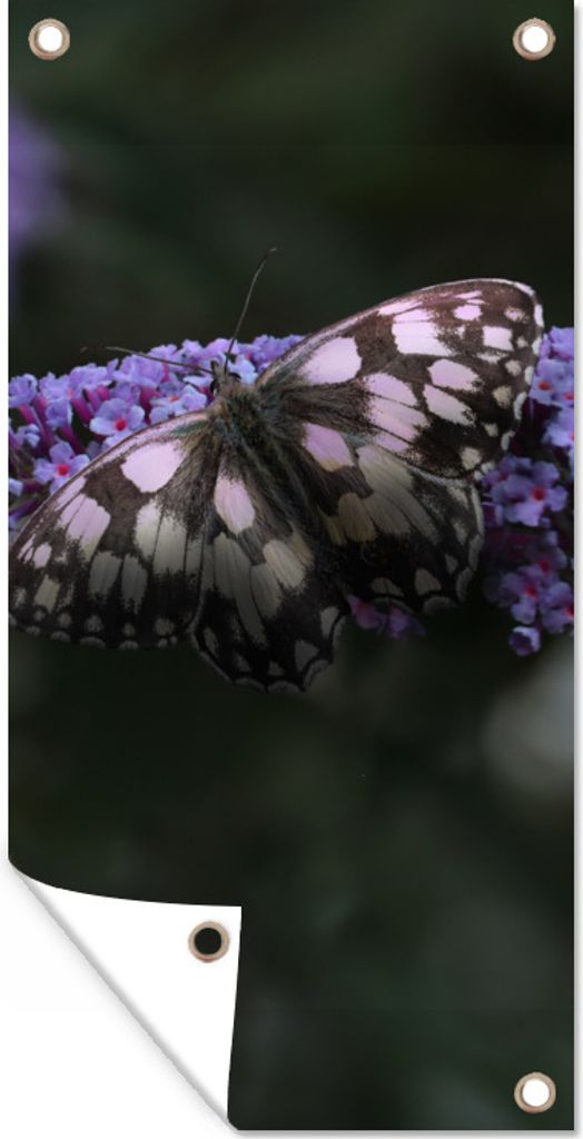 MuchoWow 40x80 cm Outdoor-Poster Gartendeko Sichtschutz Garten Poster für den Garten Dunkles Foto eines Schmetterlingsstrauchs