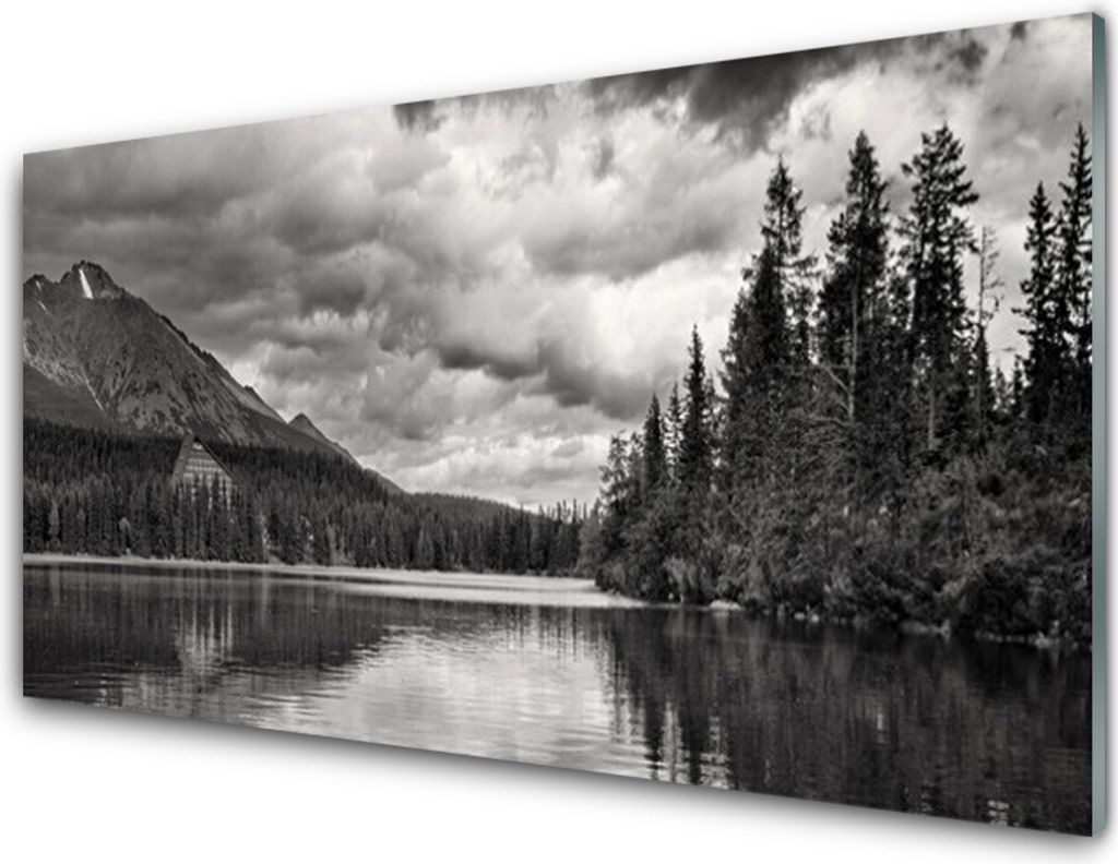 Acrylglasbilder 100x50 Wandbild Druck Gebirge Wald See Natur