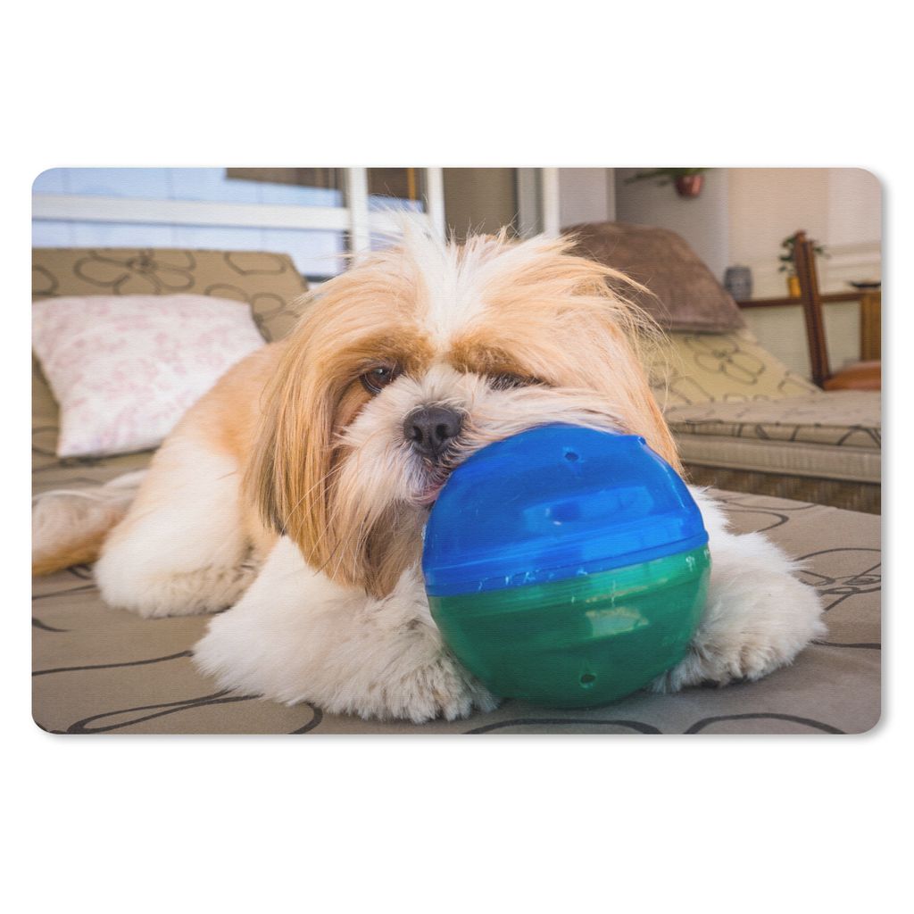 MuchoWow Schreibtischunterlage Ein Shih Tzu Hund spielt mit einem Ball 60x40 cm - XXL Mauspad - Großes Mauspad
