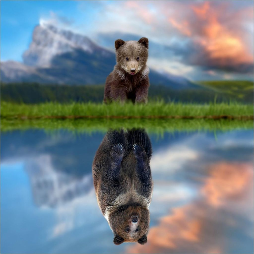 Wallario Sticker / Aufkleber für Kühlschrank / Geschirrspüler / Küchenschränke, selbstklebende Folie - 60 x 60 cm, Motiv: Zukunftsaussichten