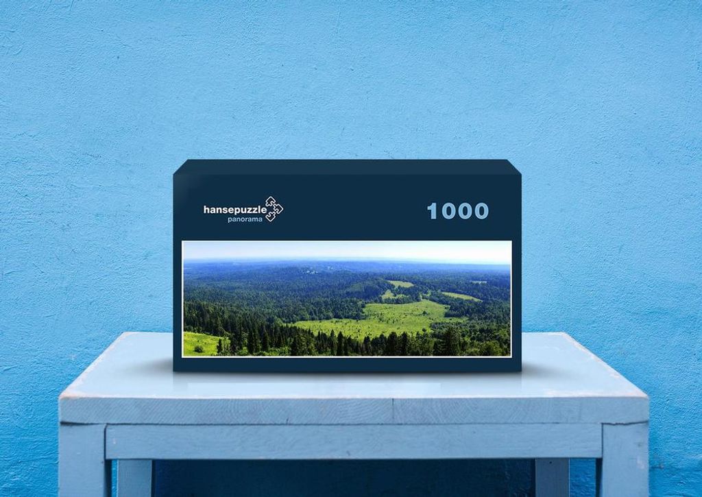hansepuzzle 45617 - Wald Puzzle, 1050 Teile, Natur, 60,0 x 46,0cm mit hochwertiger Aufbewahrung, Kartonbox und wiederverschließbarem Beutel