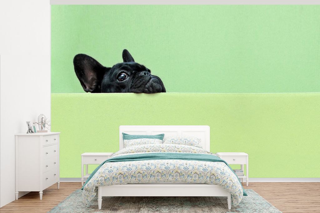MuchoWow Fototapete für Wohnzimmer oder Schlafzimmer Wandtapete Vinyl Motivtapete Französische Bulldogge - Grün - Schwarz - 405x260 cm - Die K...