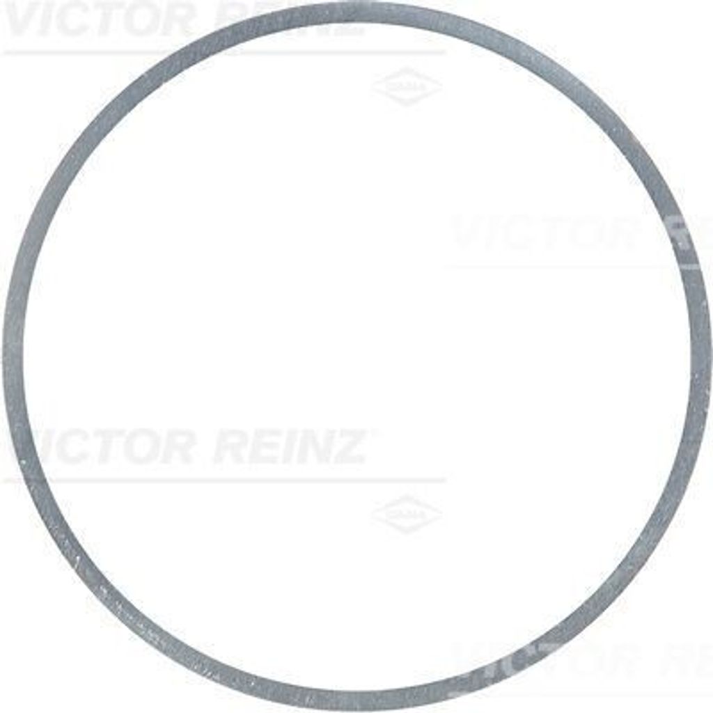 REINZ Dichtring 41-83177-10 für IVECO MK 0,2mm Stahl 110,1mm 117,6mm