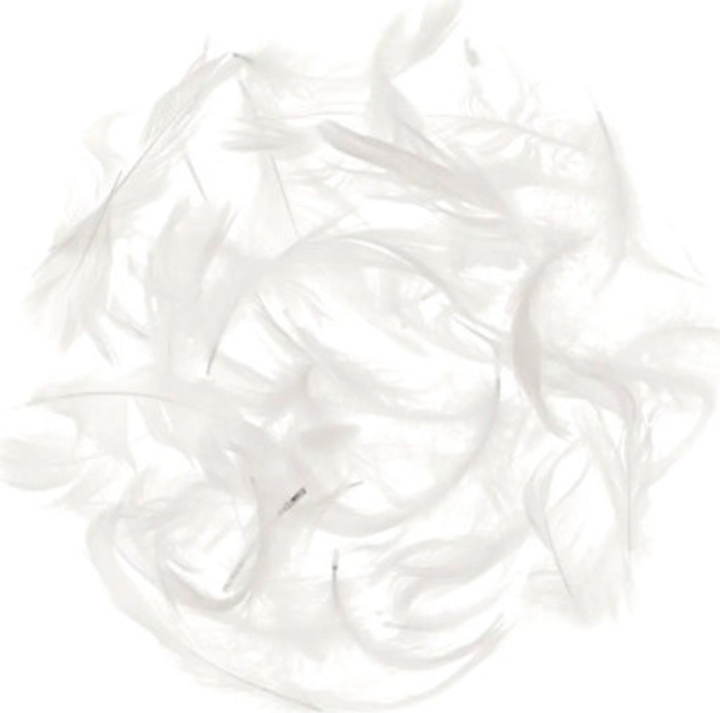 Glorex Marabufedern ca. 10 g weiß