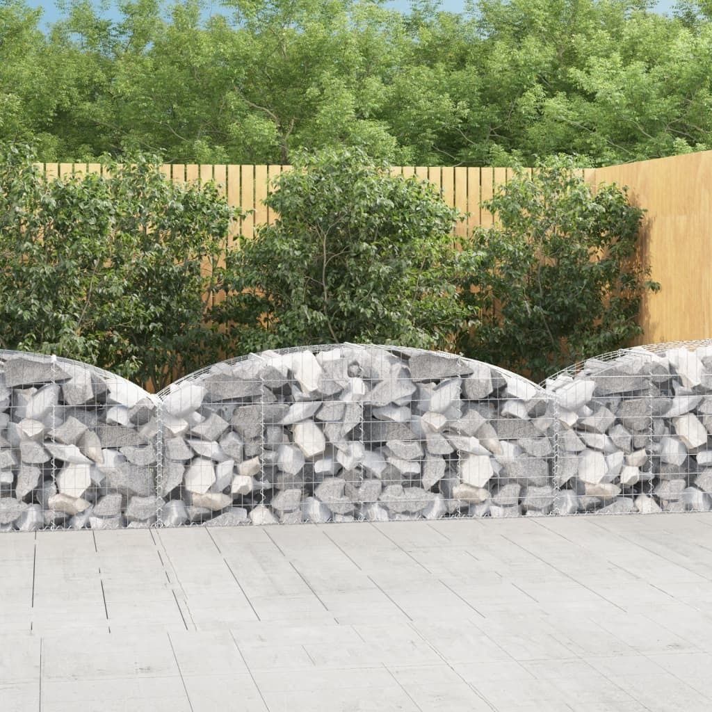 Maison Exclusive - Gabione mit Hochbogen 200x50x60/80 cm Verzinktes Eisen