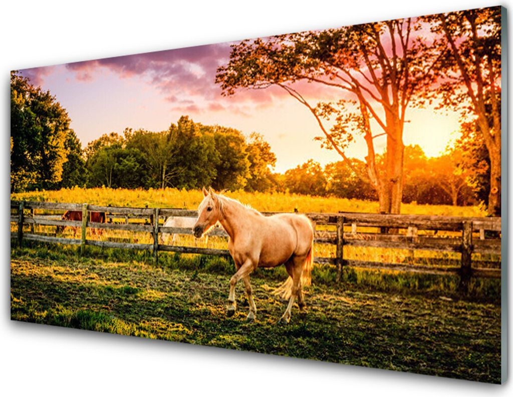 Küchenrückwand aus Glas 100x50cm Spritzschutz Pferd Wiese Tiere