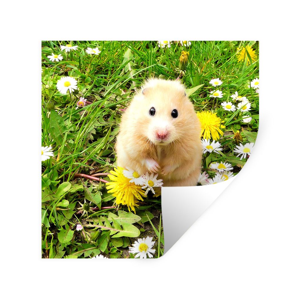 MuchoWow Wandtattoo Wandsticker Wandaufkleber Hamster - Blumen - Gras 100x100 cm Selbstklebend und Repositionierbar - Wierderverwendbar - Selbstk...