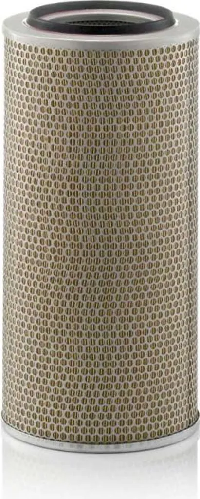 Filtre à Air MANN-FILTER C 24 650/1 pour Préserver Votre Puissance