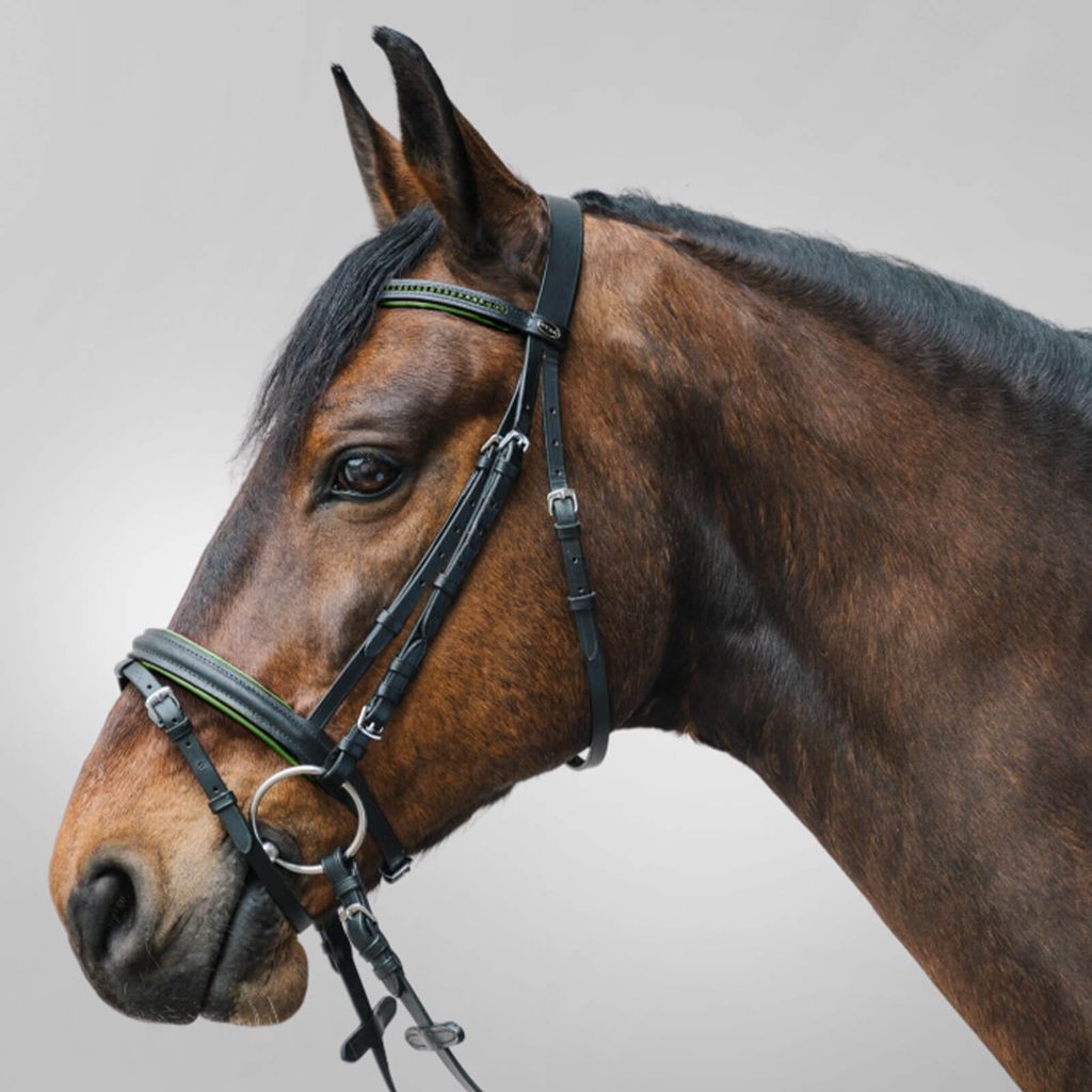 Waldhausen Trensenzaum Star Diamond Grün Pony