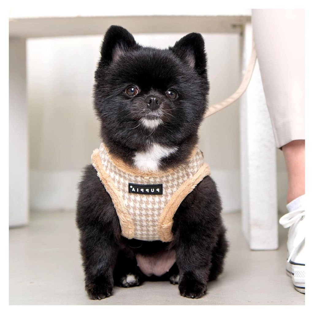 Hundegeschirr für kleine und mittelgroße Hunde - verstellbar und komfortabel, Beige, L