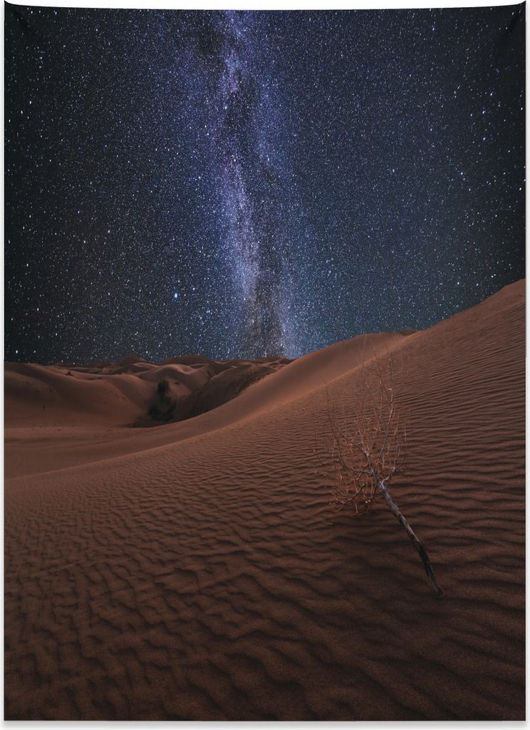 Abakuhaus Platz Wandteppich, Desert Lunar Leben auf dem Mars aus Weiches Mikrofaser Stoff Kein Verblassen Klare Farben Waschbar, 110 x 150 cm, Brau...