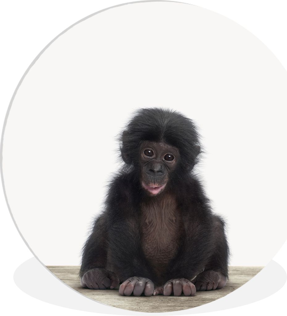 MuchoWow Rundes Wandbild - Runde Bilder Kind - Affe - Schimpanse - Babytiere - Jungen - Mädchen Ø 30 cm Kreis Wanddekoration Kunststoff - Wandk...