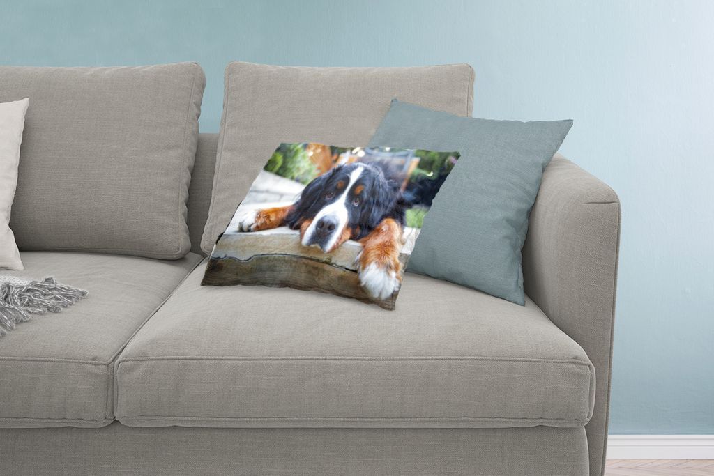 MuchoWow Zierkissen Sofakissen Wohnzimmer Dekokissen 60x40 cm Shady Berner Sennenhund - Kopfkissen - Polster mit Foto