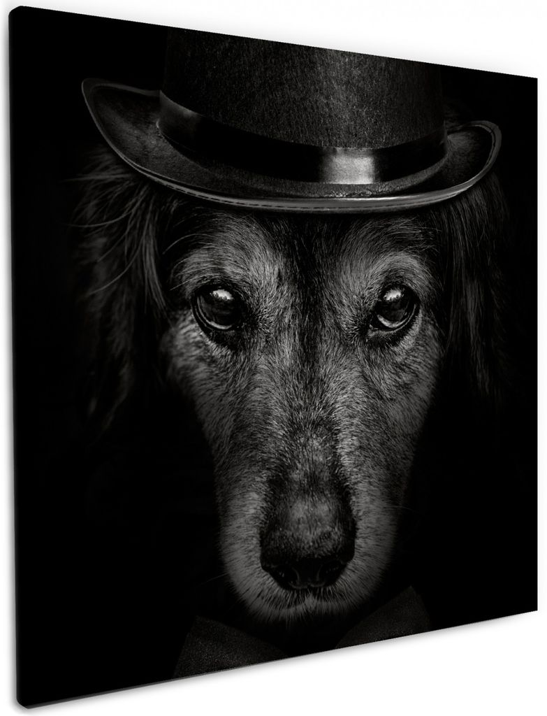 Wallario Premium Leinwandbild Eleganter Hund mit Zylinder in schwarz-weiß in Größe 50 x 50 cm