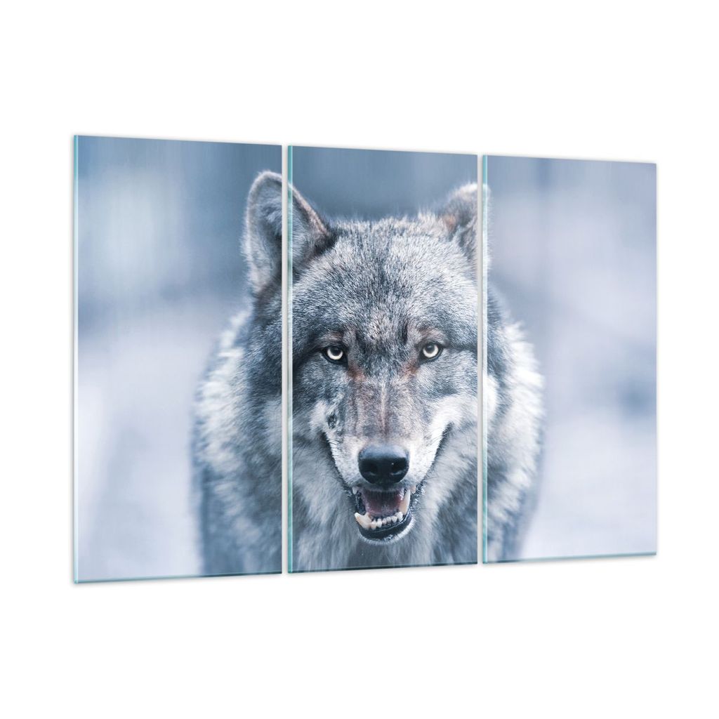 Bilder auf glas - 3 Teile - Wolf Raubtier Wildheit - 165x110cm - Glasbilder - Wandbilder - Bilder - zum Aufhängen bereit - Wanddekoration aus Glas...