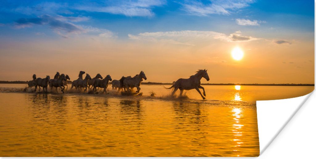 MuchoWow Poster In den Sonnenuntergang galoppierende Pferdeherde in der Camargue 40x20 cm - Poster für die Wand - Poster Schlafzimmer
