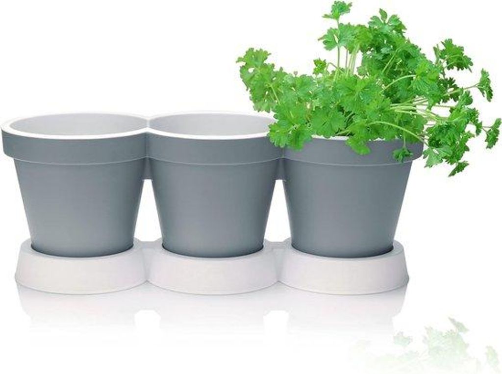 Hängende Blumenvasen, verschiedene Varianten, für Pflanzen und Kräuter