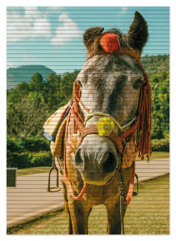 Wallario Duschmatte Antirutschmatte Badmatte Fußmatte Klassisch geschmücktes Pony, Größe ca. 70 x 50 cm