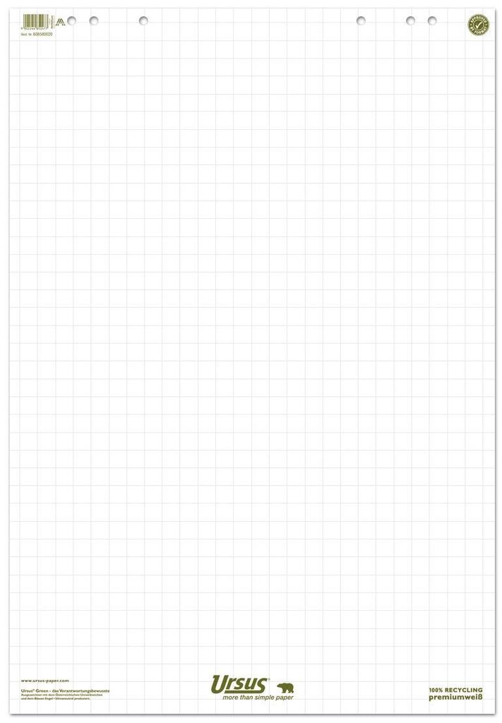 Ursus Staufen Flipchartblock Green 608580020 68x99cm 20Bl. Produktbild 