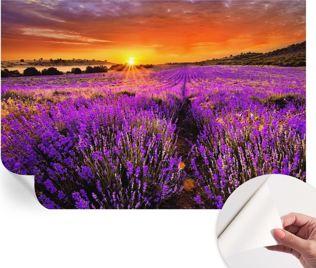 Selbstklebende Wandtapete - Dekorative Tapete für Wohnzimmer - Klebefolie für Wandbilder - Tapetenfolie für Wanddekoration - 152x104 cm - Lavend...