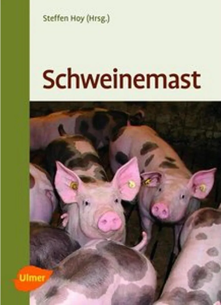 Équipement d'engraissement porcine Schweinemast pour élevage intensif