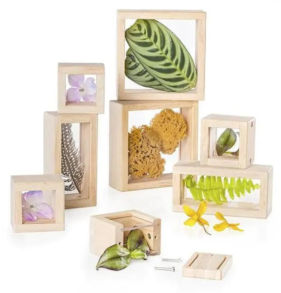 Cadre d'Observation Transparent Guidecraft pour Éveil des Sciences