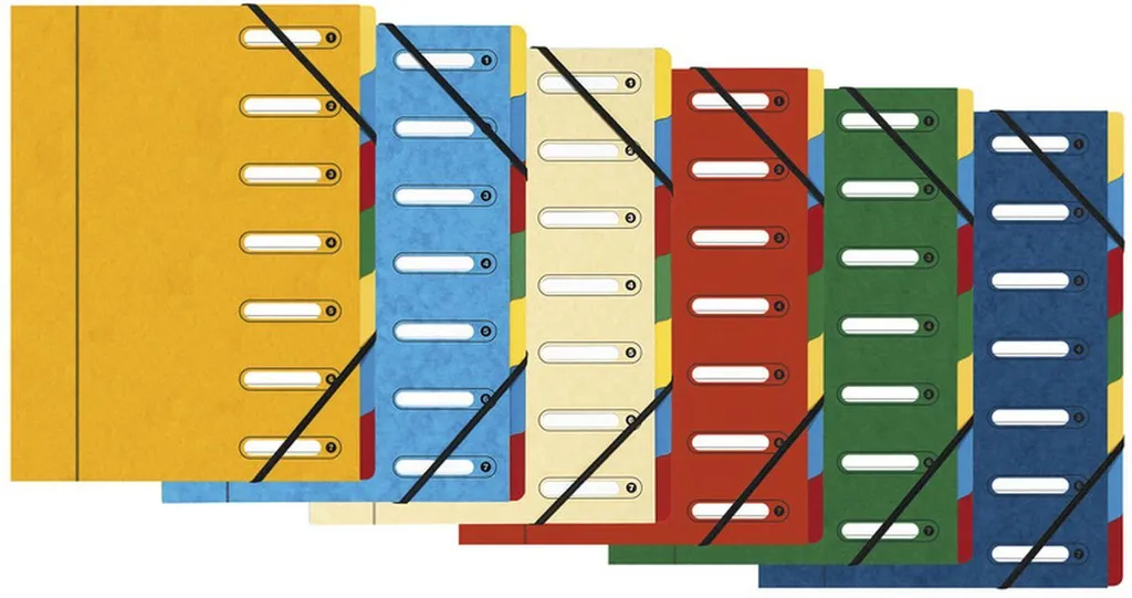 Classificatore Harmonika Exacompta A4 - Eleganza e Ordine in Ufficio