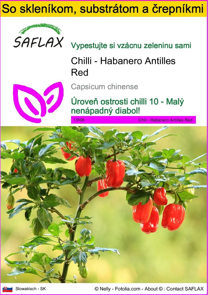 SAFLAX Kultivačný set - Chilli - Habanero Antilles Red - Obrázok produktu 