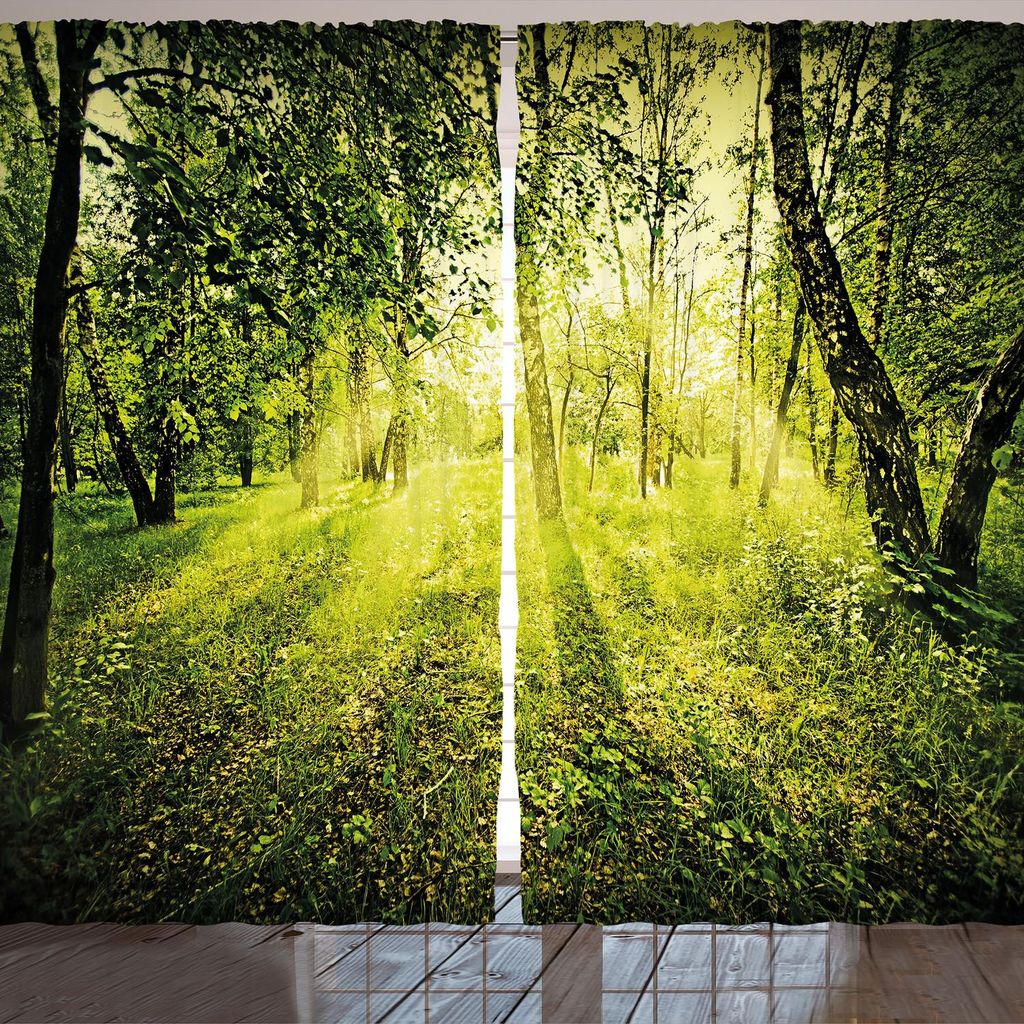ARANDE Magie Gardine, Auffrischung Morgen In Natur Sommer Jahreszeit Sonnenuntergang Umwelt Wildnis Nebel Thema, 280 x 175 cm, Grün
