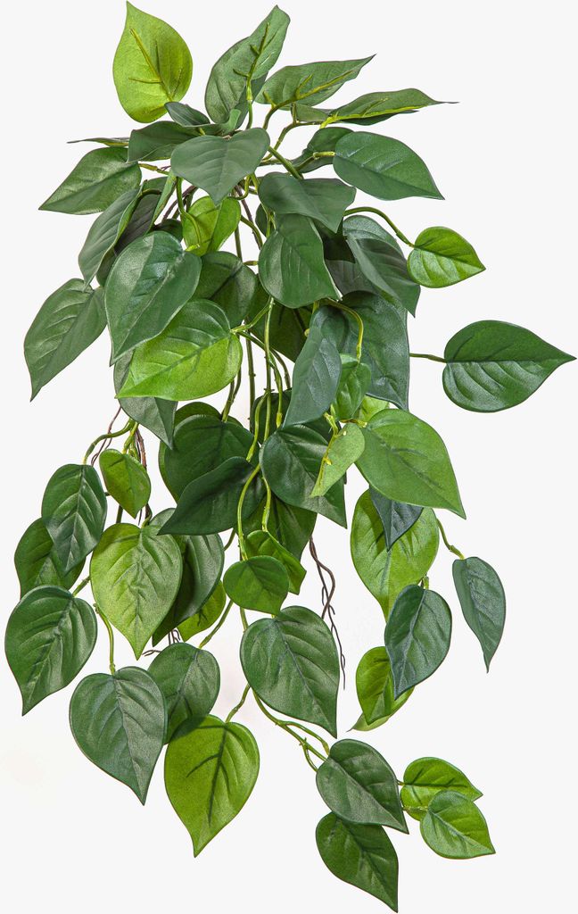 artplants.de Deko Philodendron Scandens Hänger KADRINA, Steckstab, schwer brennbar, 70cm - Kunstpflanze Philodendronhänger