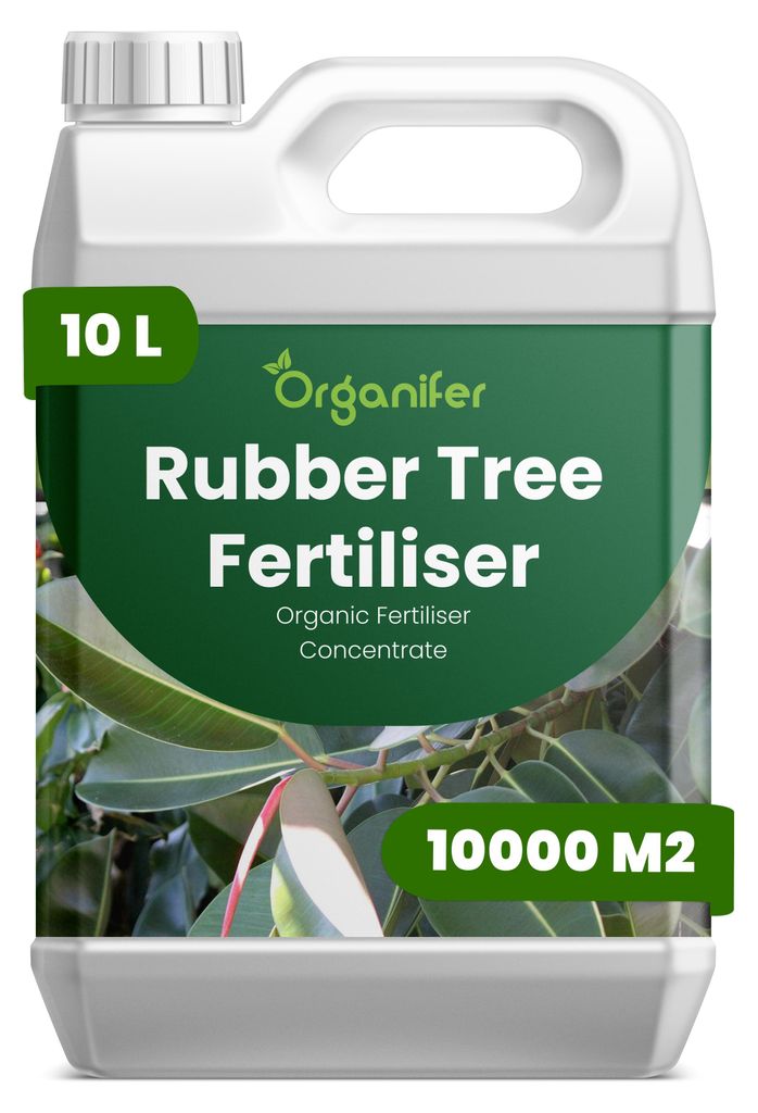 Gummibäume Flüssigdünger 10L – 2-1-8 NPK – Flüssig-Pflanzendünger für große Zimmerpflanzen, Ficus elastica & Innenraumbegrünung – Org...