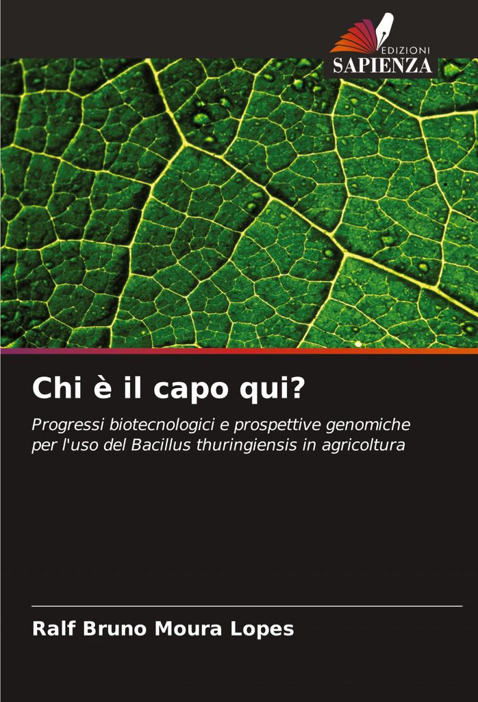 Chi è il capo qui?