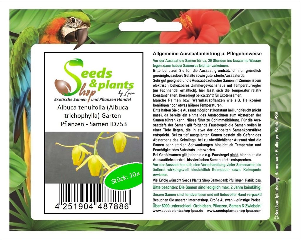 10x Albuca tenuifolia (Albuca trichophylla) Garten Pflanzen - Samen ID753