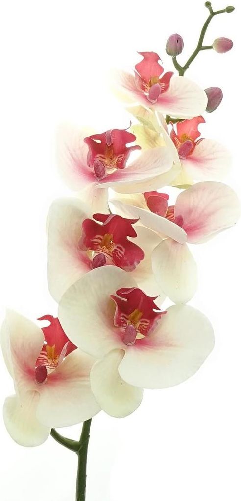 GASPER Schmetterlingsorchidee - Phalenopsis Weiß & rosa Auge 86 cm - Kunstblumen