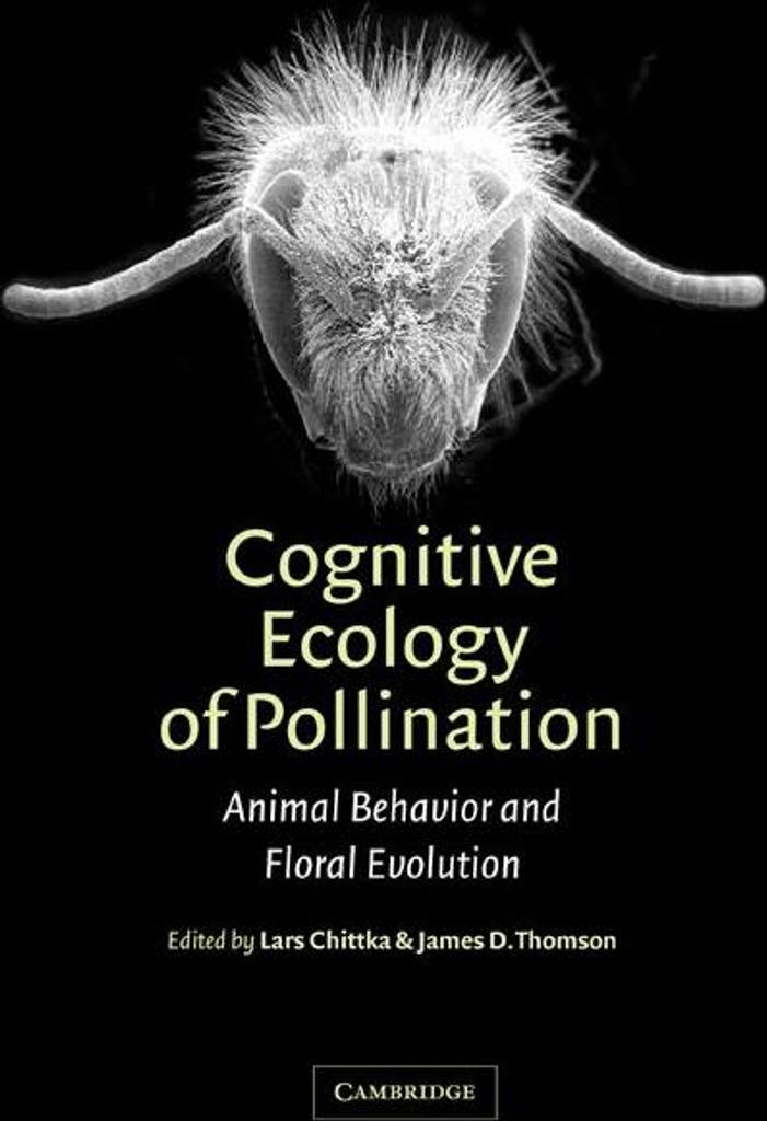 Cognitive Ecology of Pollination