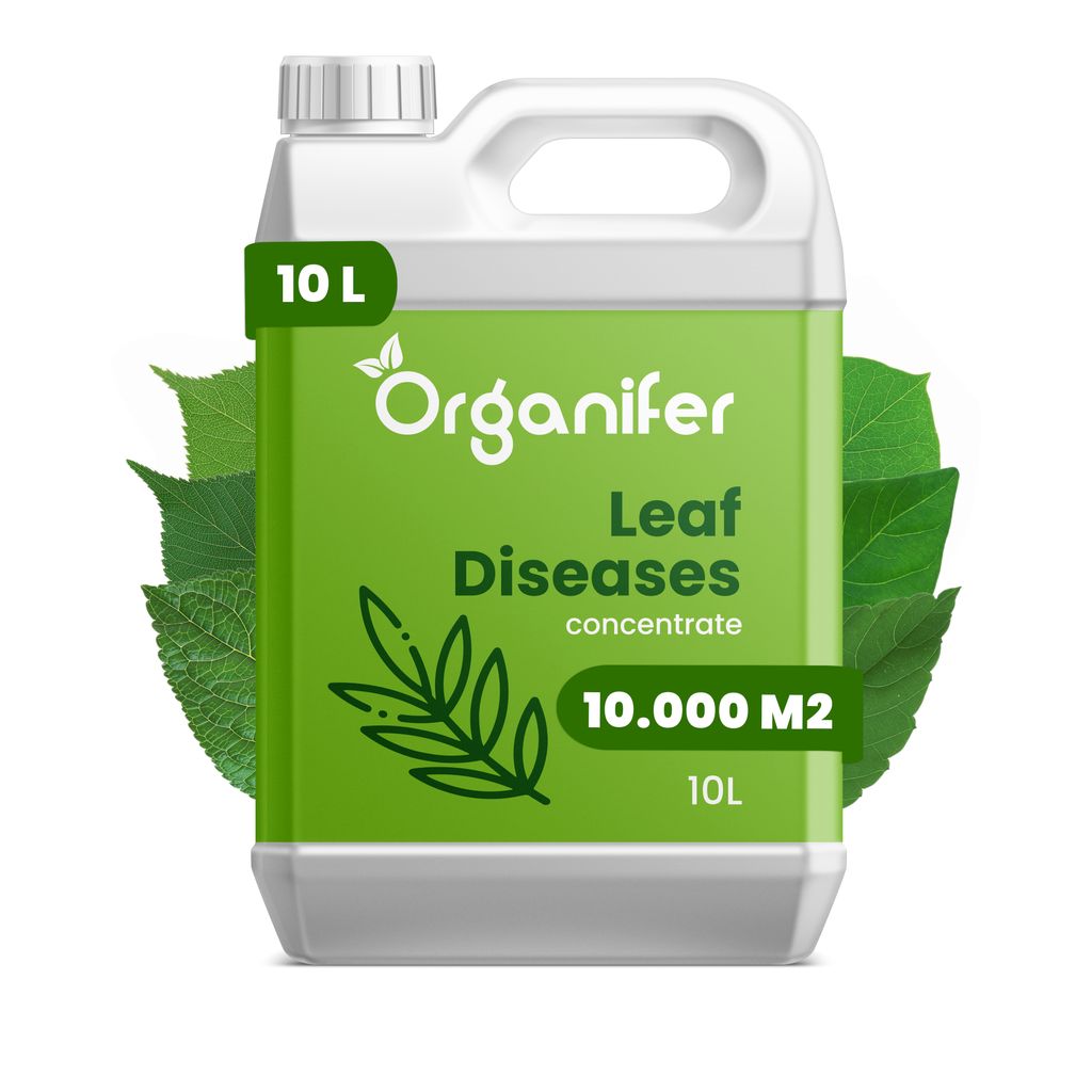 Leaf Diseases Blattkrankheiten-Konzentrat - 10 L für 10.000 Produktbild 