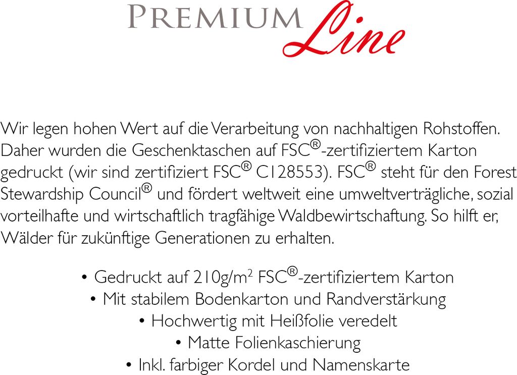 PremiumLine Geschenktaschen Weihnachten 6 Stück | DIN A4 Produktbild 4