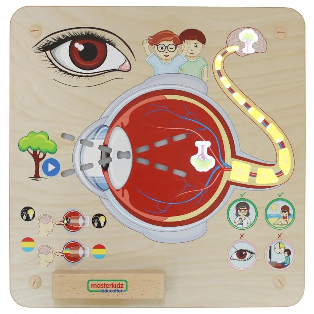 Matériel Montessori visuel Masterkidz pour stimuler l'enfant - 3