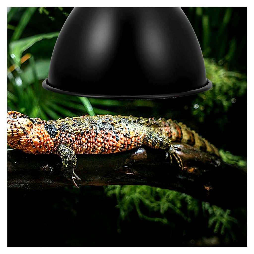 Metallischer Wärmelampenschirm mit Klemme für Reptilien und Schildkröten Terrarien 1 Stück Energiesparend und Robust