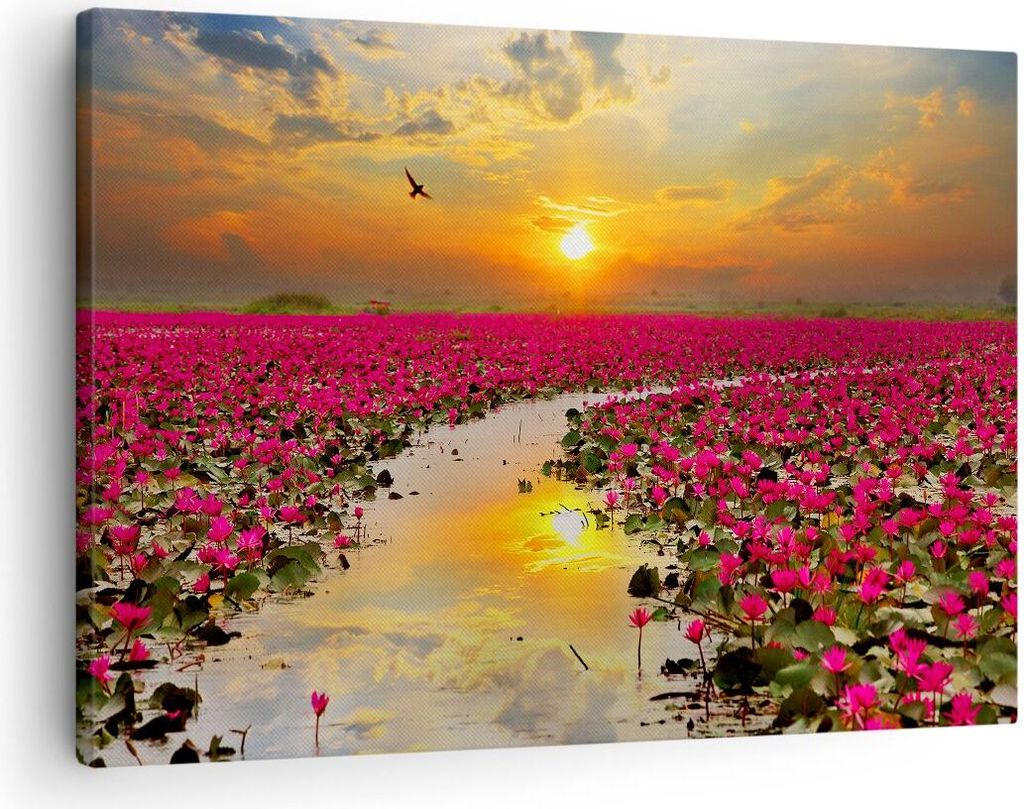 Bild auf Leinwand - Leinwandbild - See Blumen - 70x50cm - Wand Bild - Wanddeko - Wandbilder - Leinwanddruck - Bilder - Kunstdruck - Wanddekoration ...