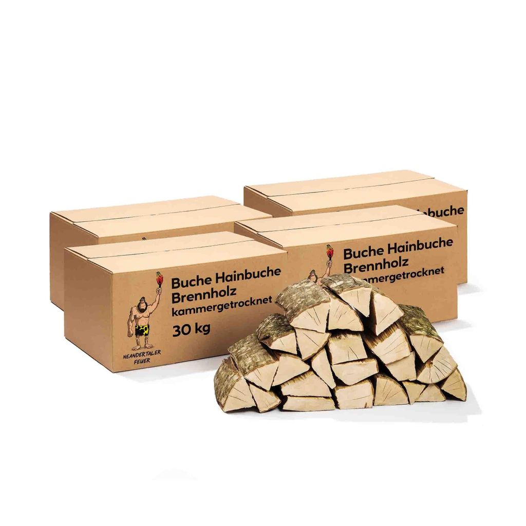 Neandertaler Feuer Brennholz Buche Kaminholz - Buchenholz Grillholz 25 cm 120 kg | Hartholz Feuerholz | Holz für Grill Kamin Smoker Ofen | Firewood
